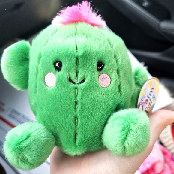 Palm Pals | Toys | Nwt Prickles The Cactus Palm Pals 5 Whimsical Squad ...